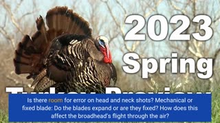 Best Turkey Broadheads of 2023