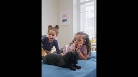 Funny Cat Videos! Adorable Kids Playing With Cat at Home