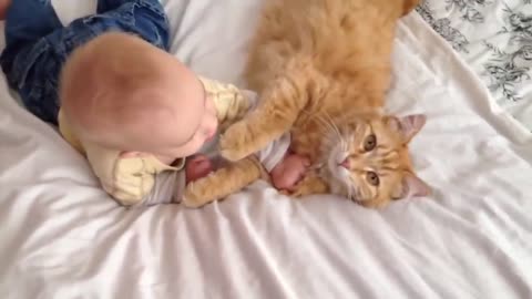 Cats Meeting a Baby for the First Time Ever! Insanely Cute.. Must See!