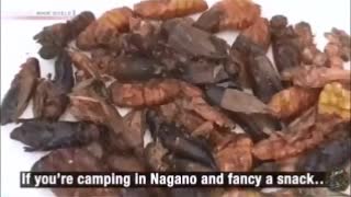 they are geting rid of the meat so they can froce you to eat bugs