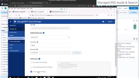 Use Elasticsearch to store NetApp StorageGRID audit log and build search index for objects