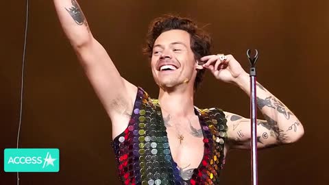 Harry Styles Stops Concert So Fan Can Propose In Epic Moment