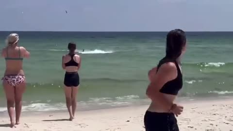 Shark sighting off the coast of Navarre, Florida sent swimmers frantically scrambling for safety.