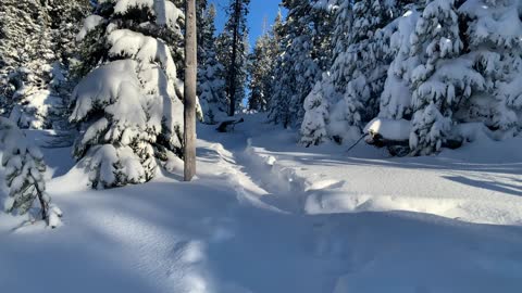 Slippery Steep Snow Hiking – Central Oregon – Swampy Lakes Sno-Park
