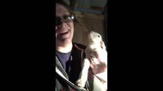 Adorable newborn baby goat has a lot to say
