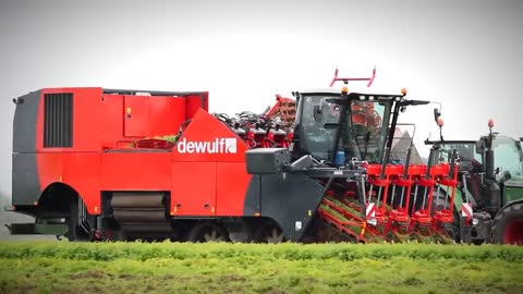 Carrot Juice Making Process | Modern Carrots Harvesting Machine | How Carrot Juice Is Made