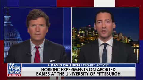 Tucker Carlson Asks David Daleiden About the NIAID Funding Study