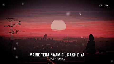 Maine Tera Naam Dil Rakh Diya (Slowed + Reverb) | Raghav Chaitanya, Shreya Ghoshal.