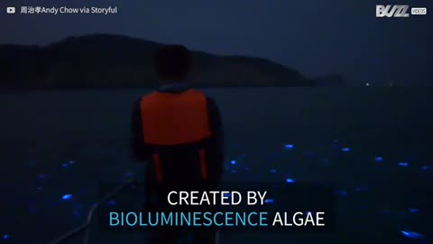Rare phenomenon creates light show in the ocean