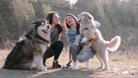 BEAUTIFUL GIRLS WITH HER DOGS A LOVELY MOVEMENT SHORT VIDEOS