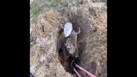 Watch A Large Harvester Ant Colony With Molten Aluminum