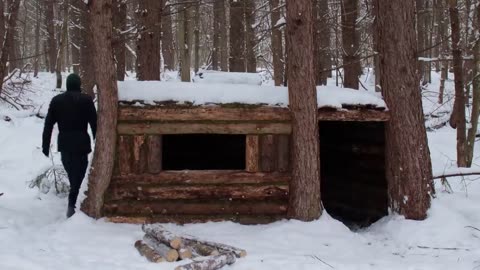 Building a Warm Winter Shelter for Survival in the Wild Woods