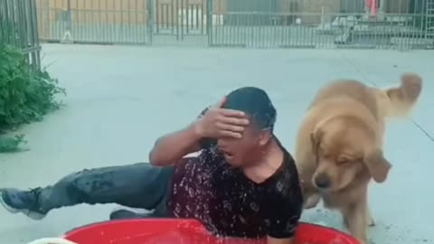 Dog tries to drown owner for refusing to bling