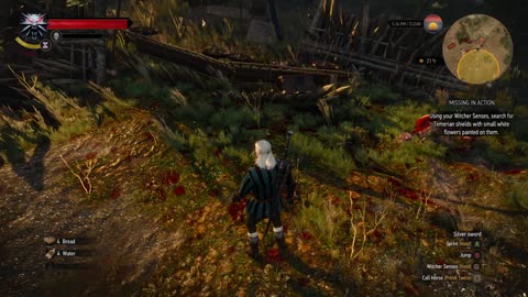 The Witcher 3 Playthrough Part 7