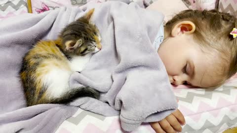 Adorable Baby Girl Sleeps Sweetly With a Cute Kitten! [CUTENESS OVERLOAD]