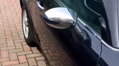 Girl Hitting Her Head on a Car Mirror Doesn't Let it Slow Her Down