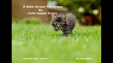 A Walk Across the Green by Colin Haydn Evans