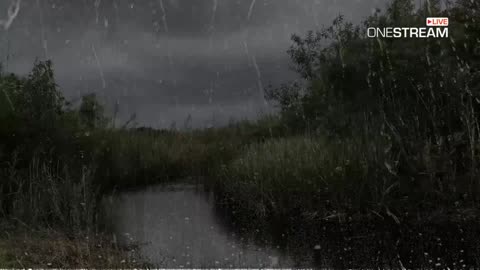 Heavy Rain & Thunder - Rain Sounds For Sleep - 1 Hour Rain Sounds For Sleep