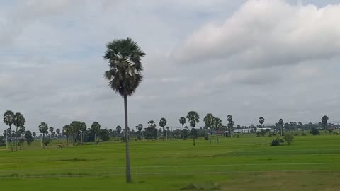 Phnom penh Highway