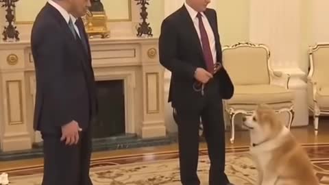 Putin love with dog