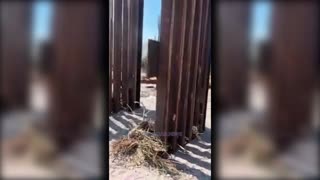 The Biden Regime Welded Open Trump's Border Gates To Allow Replacement Migration To Continue - 8/27/23