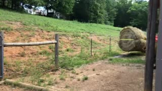 Moving round hay bale without a spear