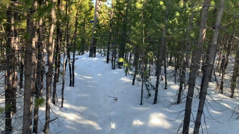 Legion of Lodgepoles – Upper Three Creek Lake Sno-Park – Central Oregon – 4K