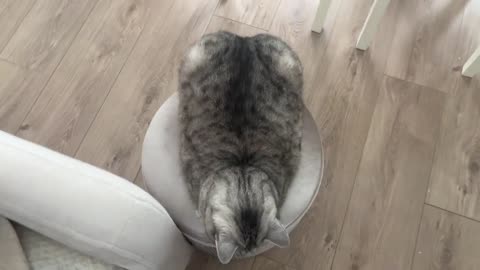 'This is my unloafing sound'