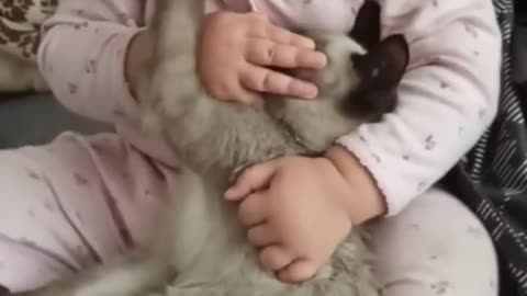 Cute little babies and cats being funny