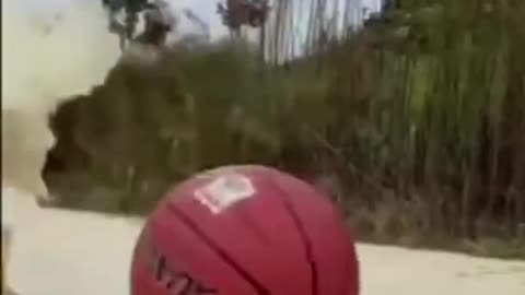 HEN PLAY basketball unbeliveble 😮😮😮🤣 YOU WON`T BELIEVE YOUR EYES