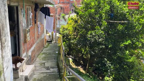 Qhubo en los barrios - Miraflores