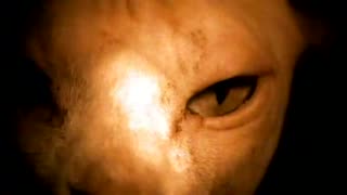 MEGADETH - Insomnia (Official Video)