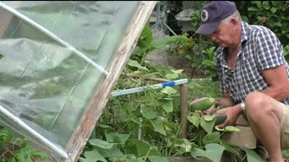 End Time Gardening Episode 2 The harvest