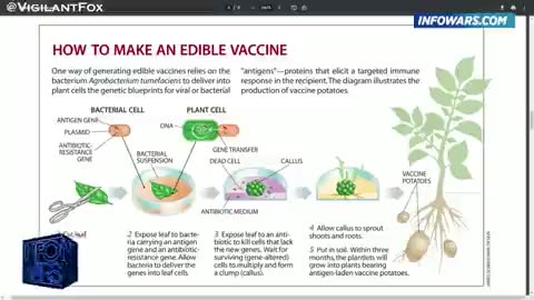Edible Vaccines They Don't Want You To Know mRNA Gene Therapy Is Going into Your Food