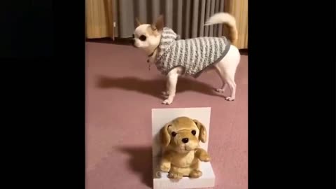 fabric dog howls with real dog