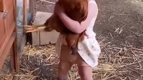 baby hug's chicken 🎥 mamasoli_go