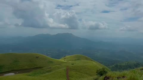Nature's Canvas: Nadukani Estate, Wayanad 🌳🌄 | Short Film 🎥