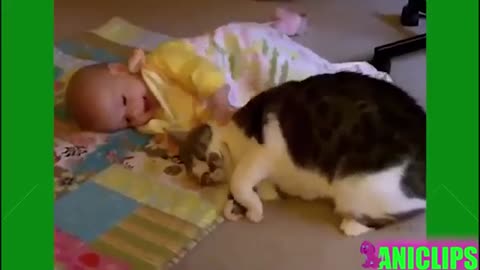 Compilation of funny cats with baby