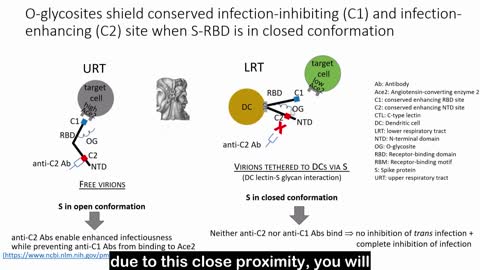 ICS 2022 (France) G. Vanden Boosche -" Evolution of Sars-CoV-2 in response to mass vaccination"