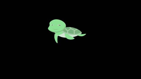 cute animal painting style animation small turtle mg plan