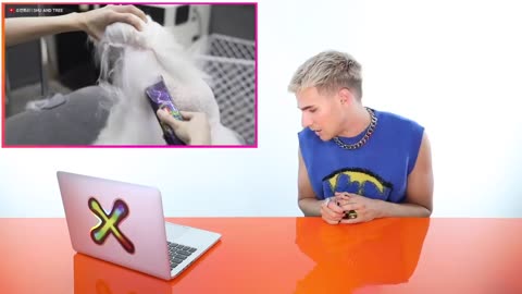 HAIRDRESSER REACTS TO CUTE DOG HAIR CUTS