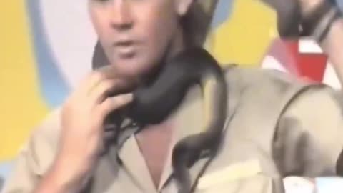 Steve Irwin gets bite by a snake live on Australian TV in 1991