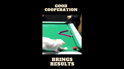 Good Cooperation