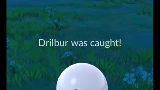 Pokémon GO-Shadow Drilbur