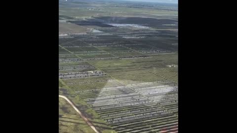 Hail storm in Damon, Texas on 3/24/24