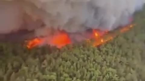 Spanish island of Tenerife engulfed in a huge wildfire, mass evacuations underway