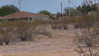 Trampoline Gets Picked up By Dust Devil in Arizona