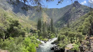 Hite's Cove Trail | Mariposa County | Ambient Hike