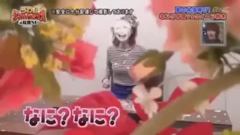 Funny Japanese Prank Compilation