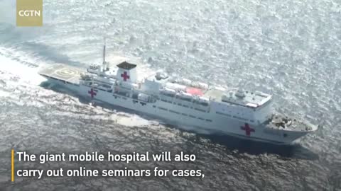 Chinese naval hospital ship arrives in Indonesia